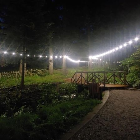 Villa Park - Beniart Studio - Nr 109 - Near Gondola Lift Μπόροβετς Εξωτερικό φωτογραφία