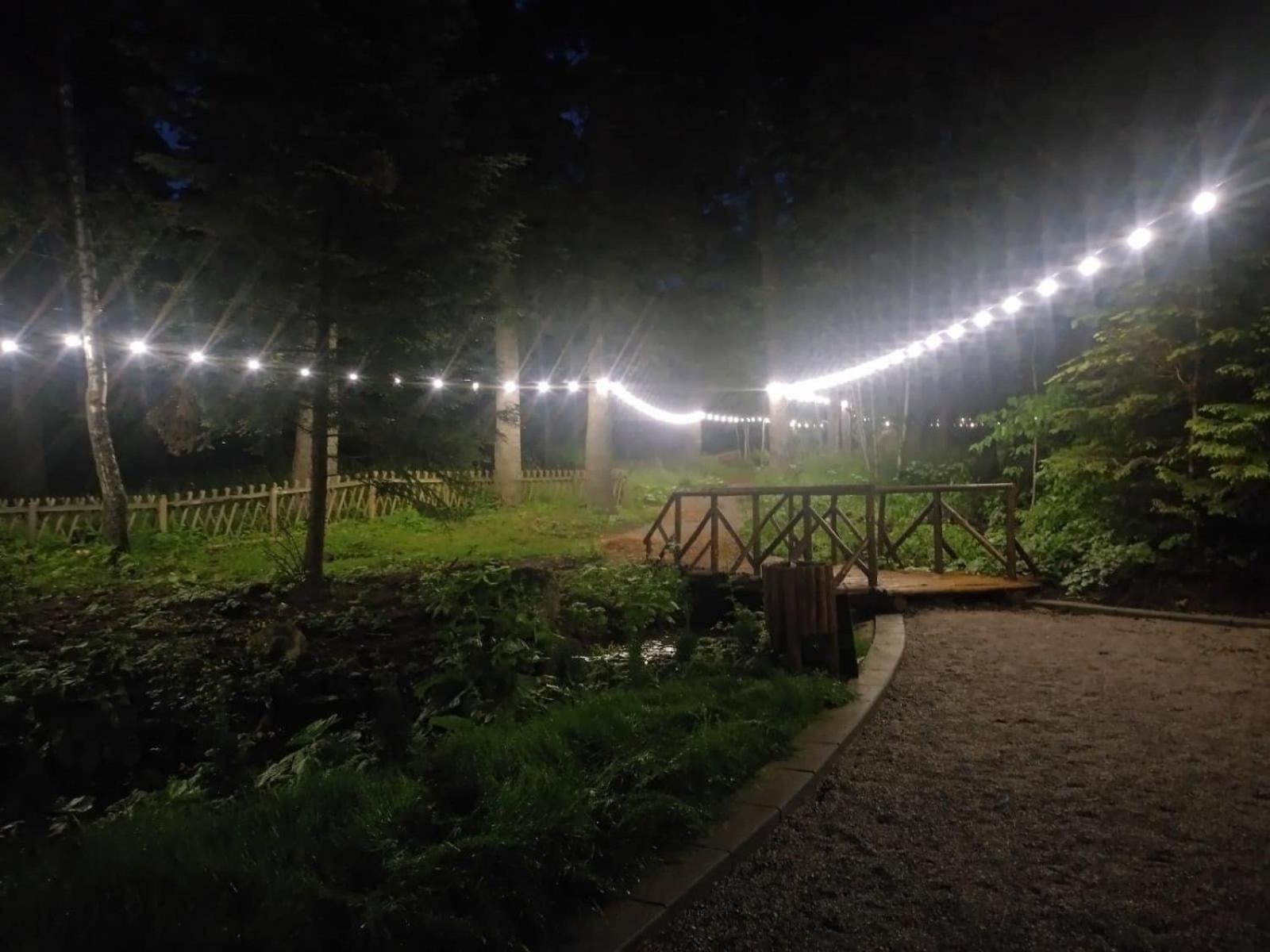 Villa Park - Beniart Studio - Nr 109 - Near Gondola Lift Μπόροβετς Εξωτερικό φωτογραφία